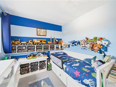 Picture 24